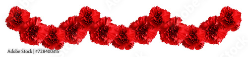 Red carnation flowers in a floral garland isolated on white or transparent background