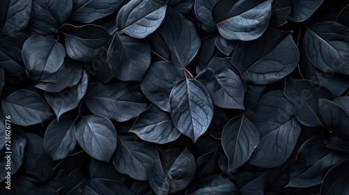 Textures of abstract black leaves for tropical leaf background.