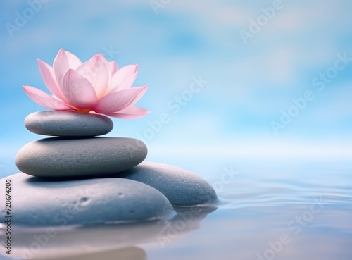 Zen Balance: Tranquil Harmony of Flowered Rocks in Water Meditation