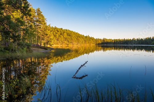 Lake in the Swedish forest