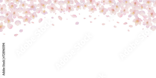 桜と桜の花びらの水彩画イラスト背景