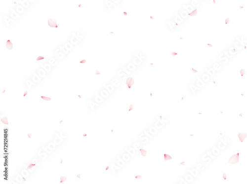 Sakura Flower Petals