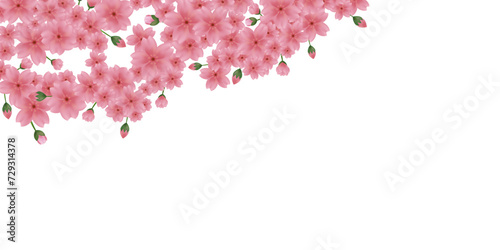 花びらが舞う背景素材 桜のイラスト