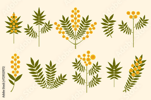Yellow flowers vector set. Modern symmetrical Mimosa flowers and leaves on pastel background. Australian Wattle branches drawn in folk style with brush texture. Stylized geometric Acacia illustration