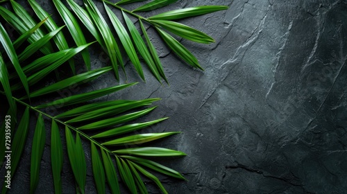 Mock up with natural soft shadow from palm leaves for product presentation or showcase on black stone textured background