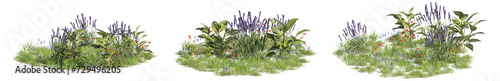 set of ground covers, cutout 3d rendering with a transparent background