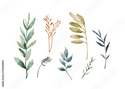 Watercolor set of hand painted branches and leaves. Isolated objects on white background.