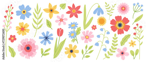 Set of flowers and floral elements. Vector flat illustration for greeting card or invitation design.