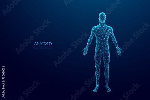 Abstract digital human body. Polygonal wireframe silhouette. Low poly anatomy blue background. Technology futuristic man or woman model. 3D vector illustration consists of thin lines, connected dots. 