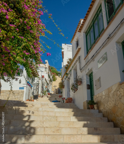 Street with beautiful houses and flower in the old city of Alicante on a sunny day