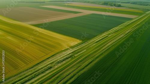 Aerial top view of panorama seen from above of the plain with the cultivated fields divided into geometric shapes in spring background, copy space