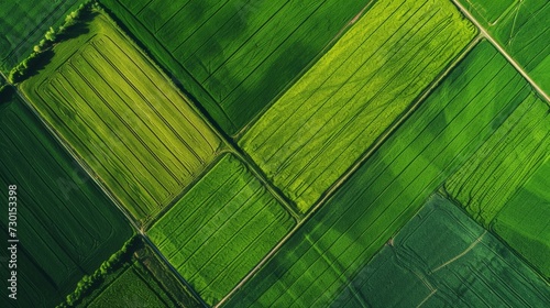 Aerial top view of panorama seen from above of the plain with the cultivated fields divided into geometric shapes in spring background, copy space