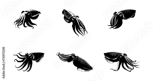 set of cuttlefish silhouettes on isolated background