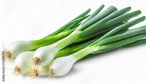 Green onion isolated on the white background with full depth of field