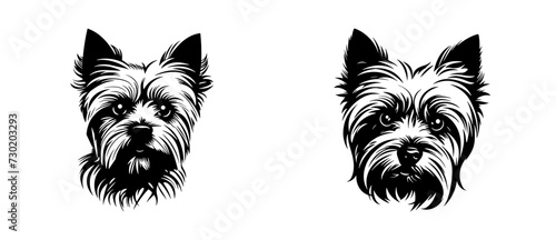 Yorkshire Terrier dog breed head vector illustration. Pet portrait in style of hand drawn black doodle on white background