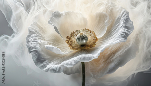Biały pastelowy kwiat mak, abstrakcyjny dym