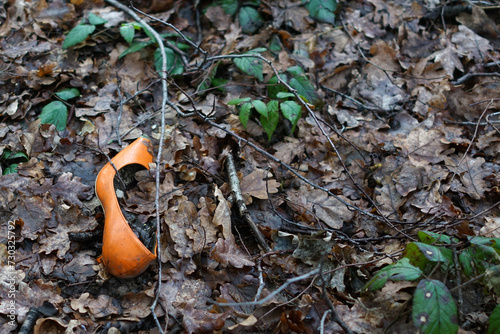 Verlorener Damenschuh in einem Waldstück