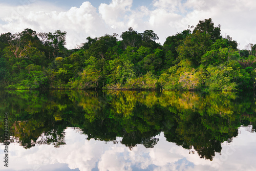 Reflexo de árvores na água em Rio da Amazônia Brasileira