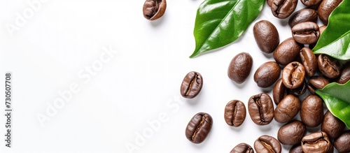 Fresh brown roasted coffee beans and leaves copy space isolated on white background. AI generated