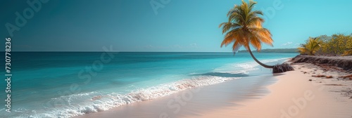 Palm Tree Turquoise Ocean Water Beautiful, Background Banner HD