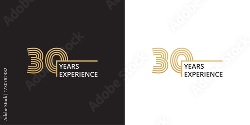 30 years experience banner