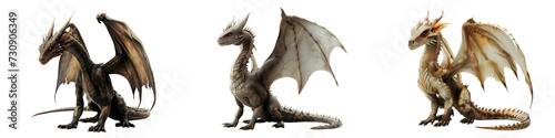 Set of Fantasy Dragons Isolated on Transparent Background