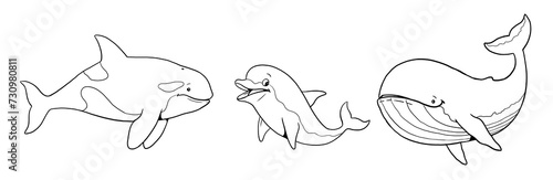 Cute orca, whale and dolphin to color in. Template for a coloring book with funny animals. Coloring template for kids. 