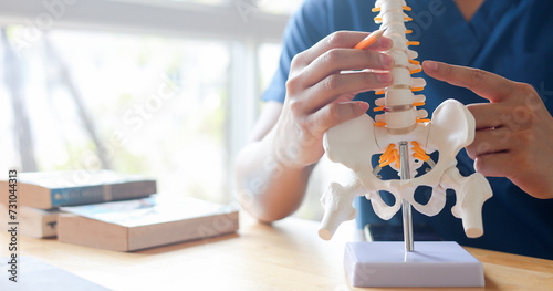 close up physical therapist chiropractor hand pointing on human skeleton at middle back to advise and consult to patient to treatment at office for healthcare concept