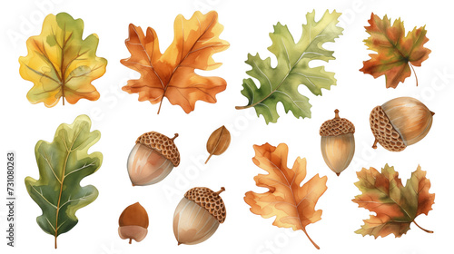 Set of autumn leaves and acorns on a transparent background. Watercolor illustration. Clipart PNG