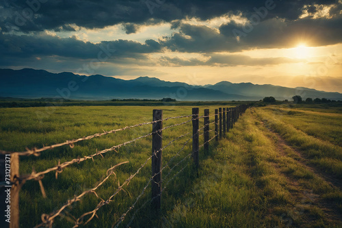 Barbed wire fence at dawn, grass field, pasture.