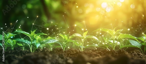 Sprouting seedlings in sunlit soil, a symbol of growth and eco-friendly agriculture. vivid, green, refreshing image. AI