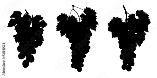 Black silhouette of grapes on the white background.