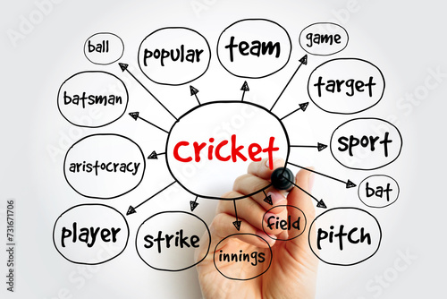Cricket mind map, sport concept for presentations and reports