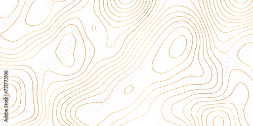 Abstract background with topographic contours map .white wave paper and geographic golden line abstract background .vector illustration of topographic line contour map design .