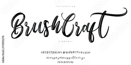 Brush Script Handwritten Alphabet Font 