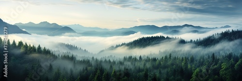 Wide panorama of the forest against the background of mountains covered with morning fog, from a bird's eye view