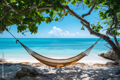 Tranquil beach: Hammock by tree, water and sky, nature's leisure. relax, travel and vacation concept