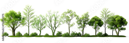 Jungle trees shapes cutout backgrounds 3d rendering png 