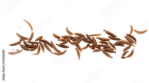 Macro cumin, caraway seeds line isolated transparent backgrounds 