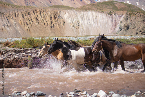 Caballos galopando por un rio en un paisaje de montaña