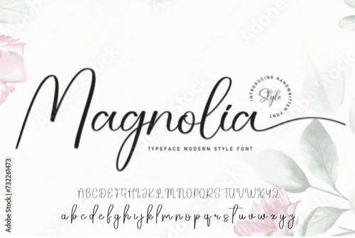 Lettering signature font isolated on grey background. brus style alphabet. Vector logo letters.