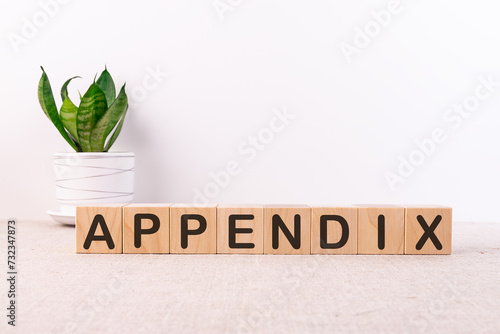 APPENDIX word made with building blocks on a light background