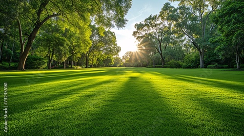 Lush natural backdrop of verdant grass and lovely foliage in the gentle sunlight of Horsham Botanic Gardens, VIC Australia, with room for text.