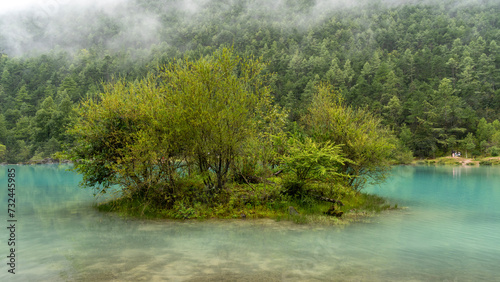 lake in the woods Lijiang China