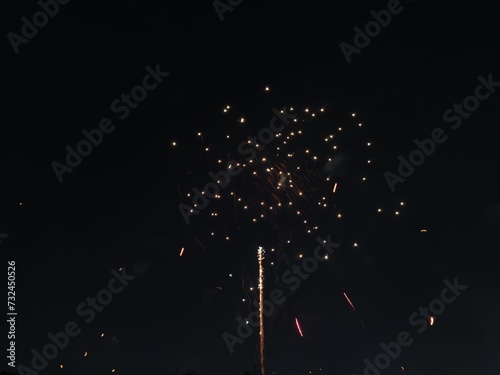 Picture of a fireworks shot on the festival of Makar Sankranti 