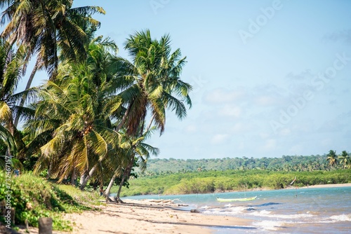 Scenic view of palm trees on a sandy beach on a sunny day