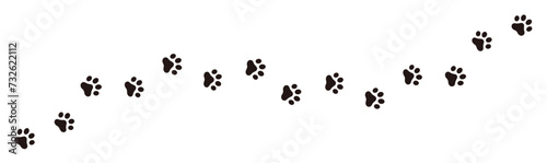 Paw footprint of dog or cat