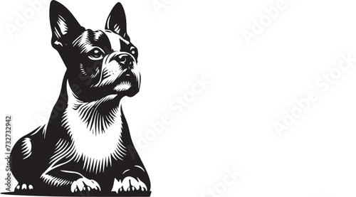 Vintage Retro Styled Vector Boston Terrier dog Silhouette Black and White - illustration