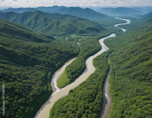 Bird's eye view of a meandering river winding through lush forests and towering mountains