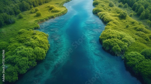 Rzeka płynąca przez bujny zielony las